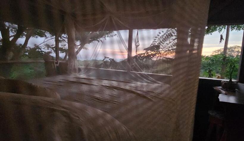 غرفة ديلوكس, Liberali