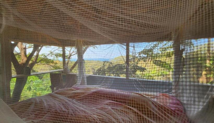 غرفة ديلوكس, Liberali