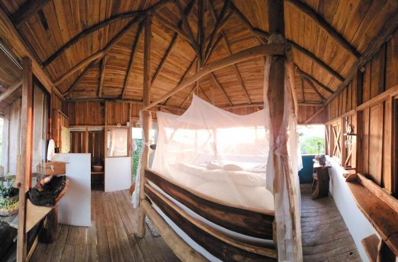 غرفة ديلوكس, Liberali