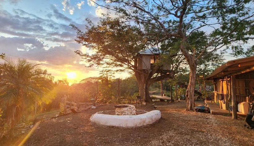 غرفة ديلوكس, Liberali