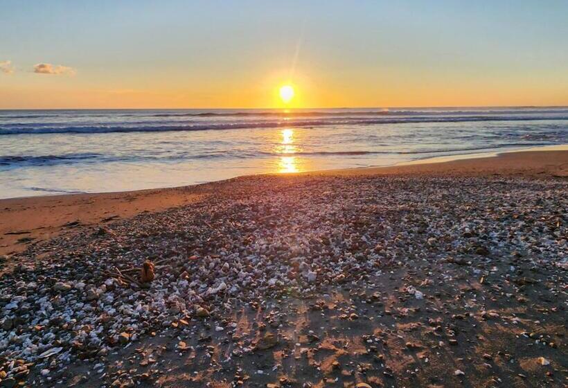 غرفة قياسية مطلّة علي البحر, Liberali