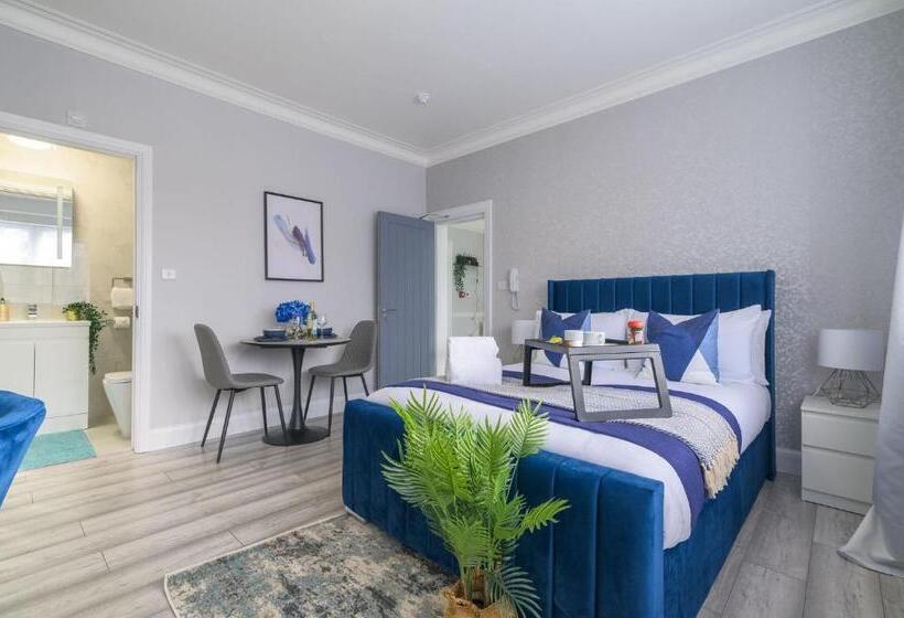 디럭스 룸, 12 Elmwood