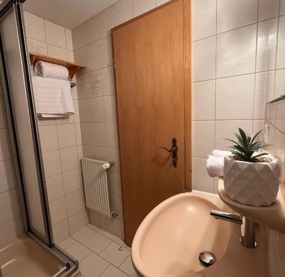 テラス付きスタンダードルーム, Haus Zum Guten Hirten