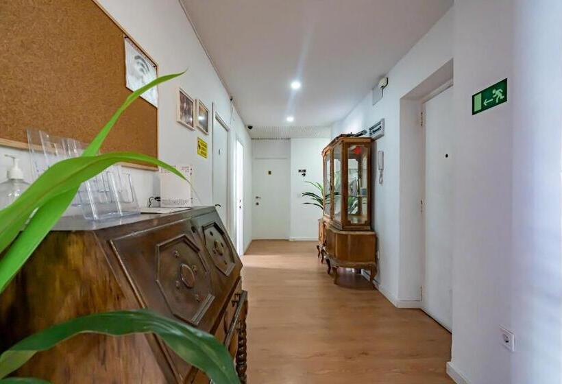 اتاق استاندارد یک تخته با سرویس بهداشتی مشترک, Rooms Jardín Botánico