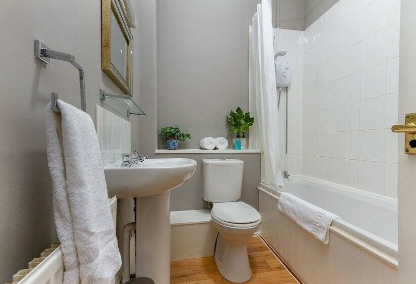 スタンダードルーム, The Limes