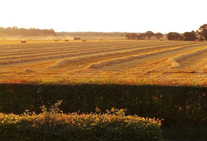 Стандартный Номер Кровать Кинг, Chimneys B&b Free Night When Available