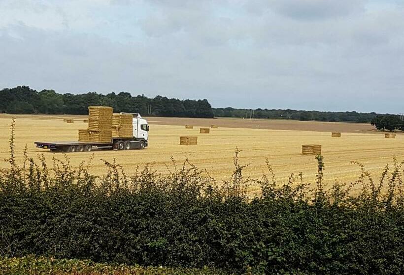 Стандартный Номер Кровать Кинг, Chimneys B&b Free Night When Available