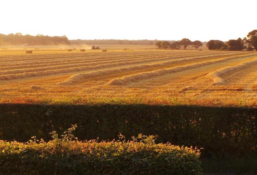 Номер Deluxe, Chimneys B&b Free Night When Available