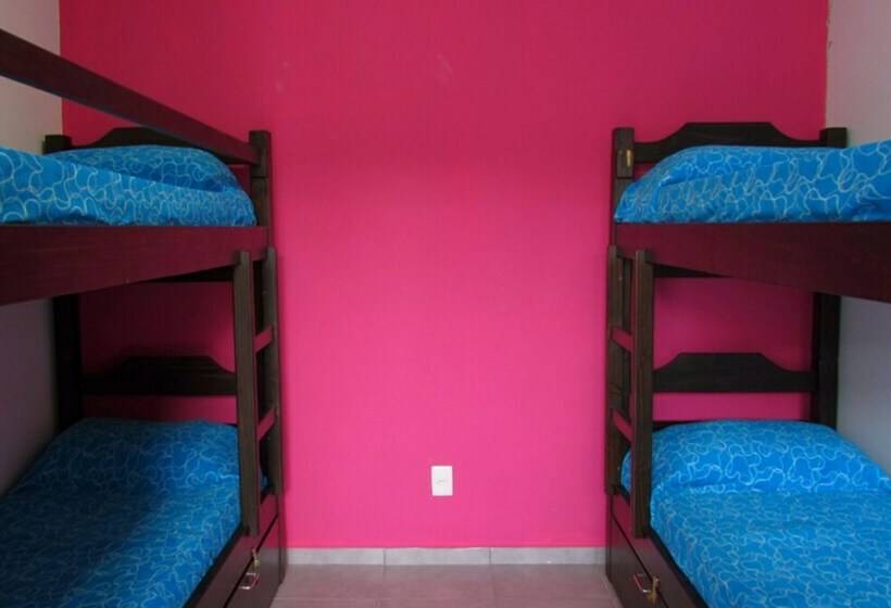 سرير فى غرفة مشتركه, Hostel De Los Colores