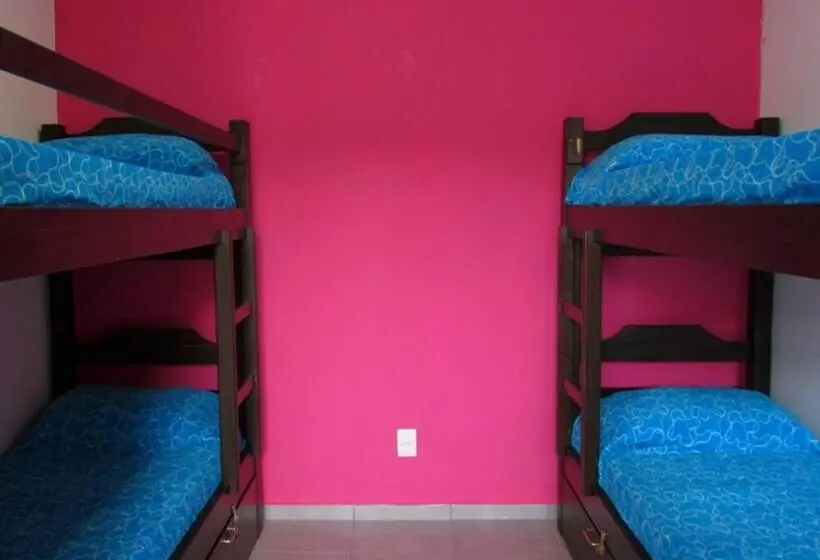 تختخواب در اتاق مشترک, Hostel De Los Colores