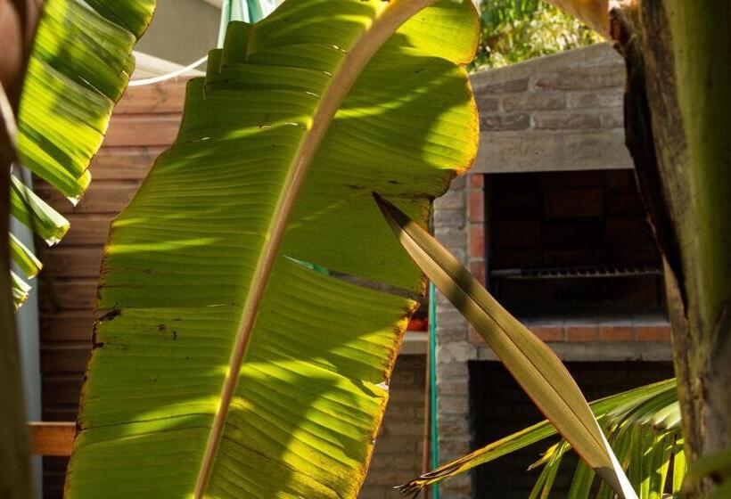 Апартаменты Deluxe 1 Спальня, Apartamentos Premium Con Yacuzzi Dunas Del Este