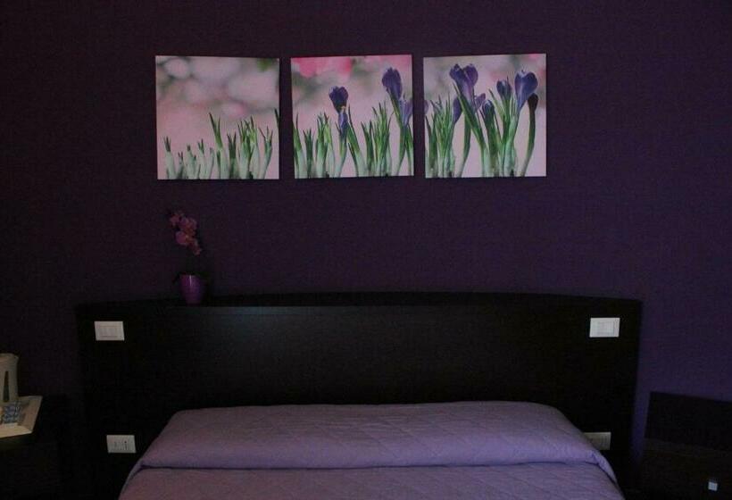 اتاق استاندارد, B&b Fanzago