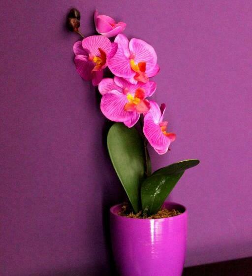 اتاق استاندارد, B&b Fanzago