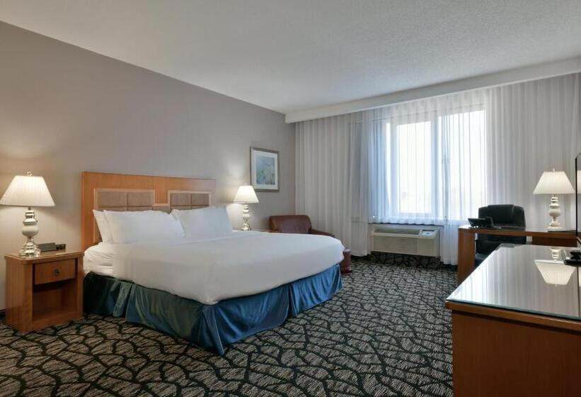 스위트 킹사이즈 침대, Empire Suites