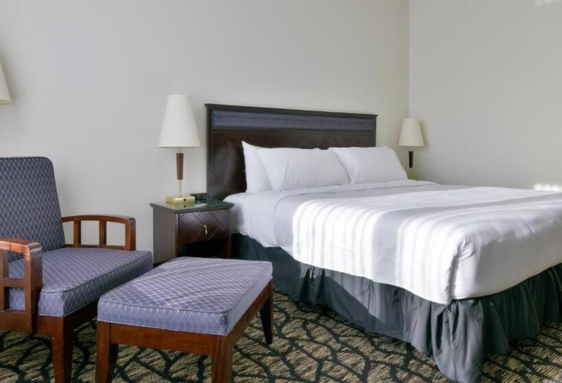 스탠다드 룸, Empire Suites