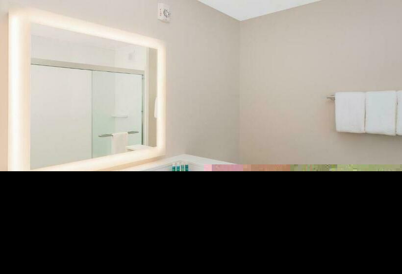 غرفة قياسية سرير كينج, Holiday Inn Express & Suites   Sterling Heights Detroit Area, An Ihg