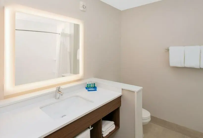 身障者適用スタンダードルーム, Holiday Inn Express & Suites   Sterling Heights Detroit Area, An Ihg