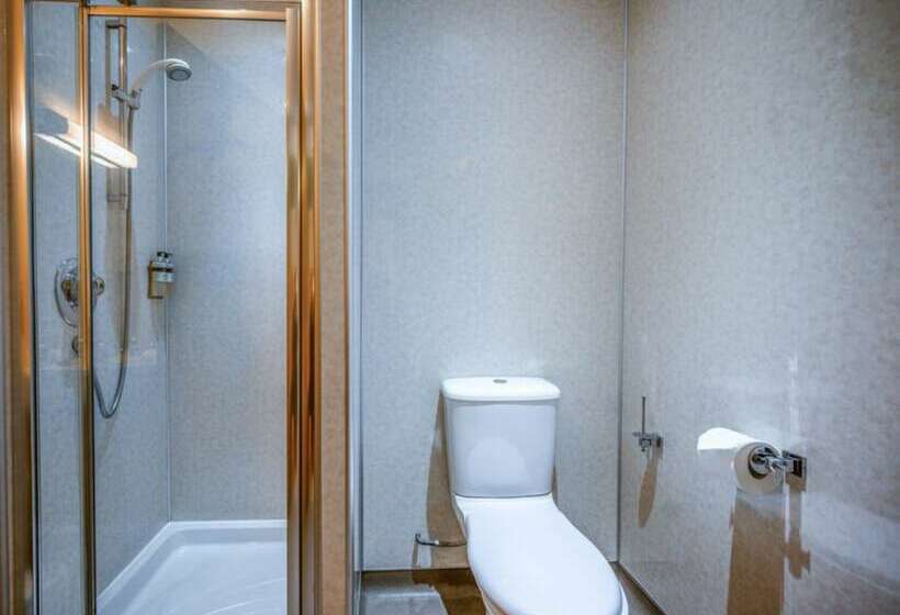 غرفة قياسية فردية, The Dunavon