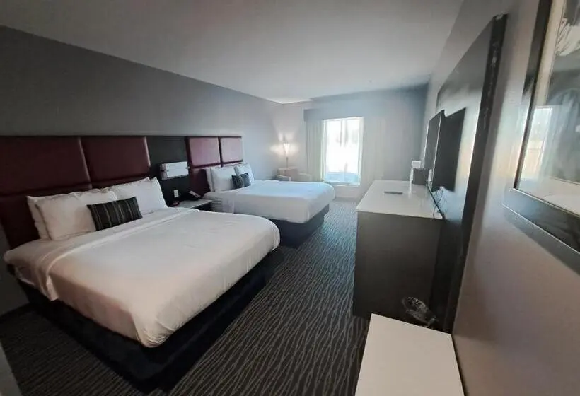 スタンダードルーム, Del Mar Airport Inn & Suites