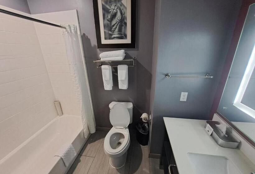 اتاق استاندارد یک نفره, Del Mar Airport Inn & Suites