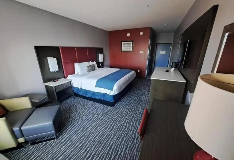 スタンダードシングルルーム, Del Mar Airport Inn & Suites
