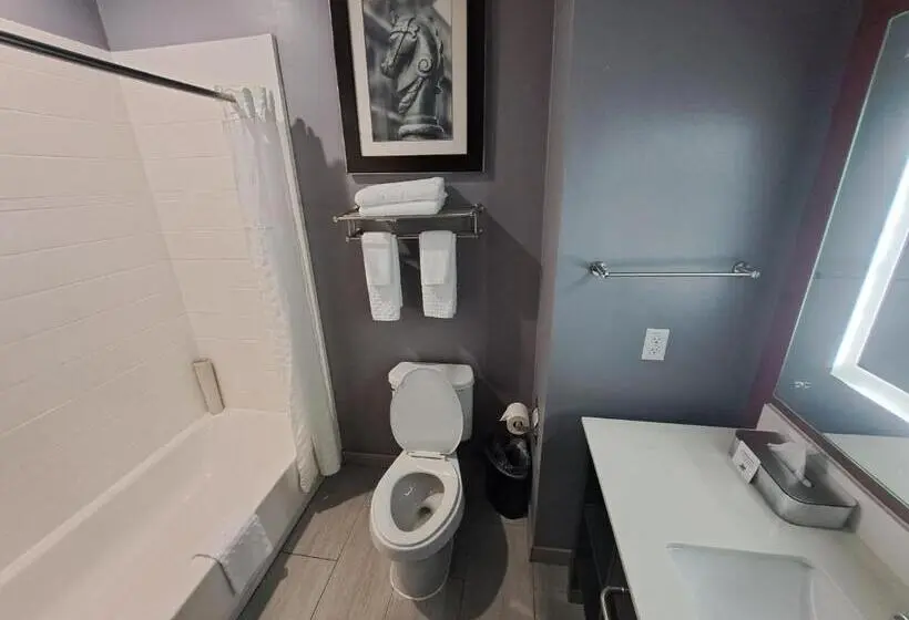 デラックススタジオ, Del Mar Airport Inn & Suites