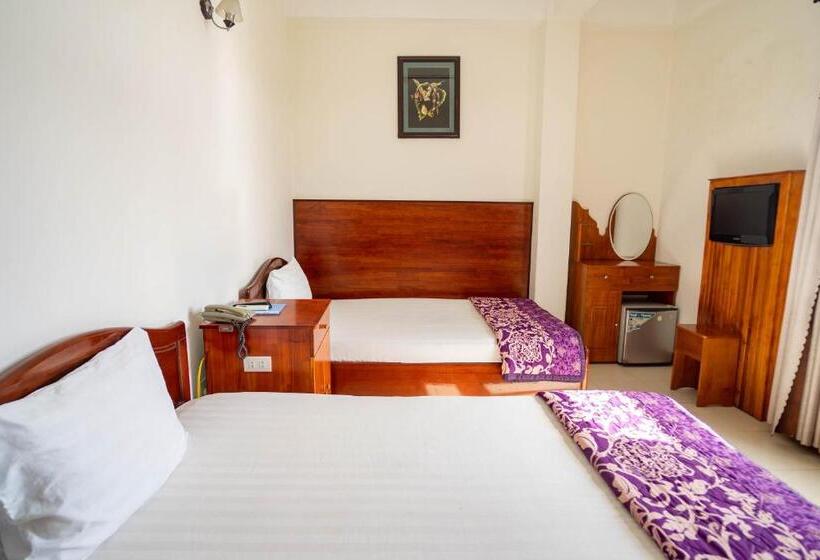 اتاق استاندارد, Lyly