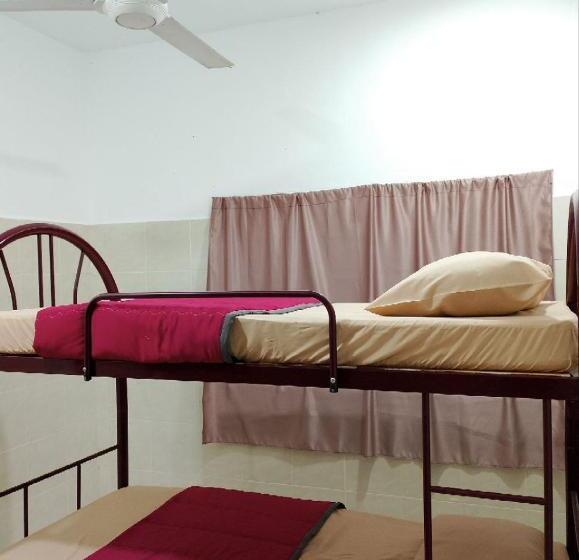 سرير فى غرفة مشتركه, Lawer Guesthouse