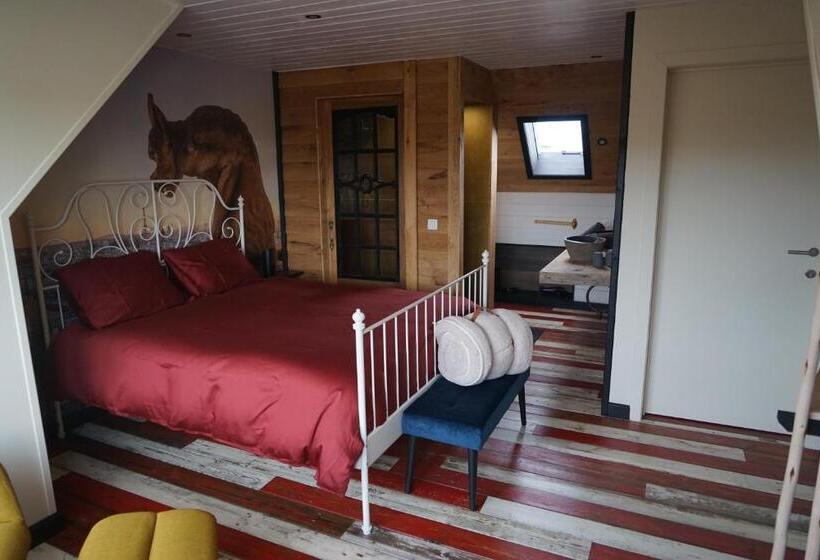 Номер Стандарт, N Joy