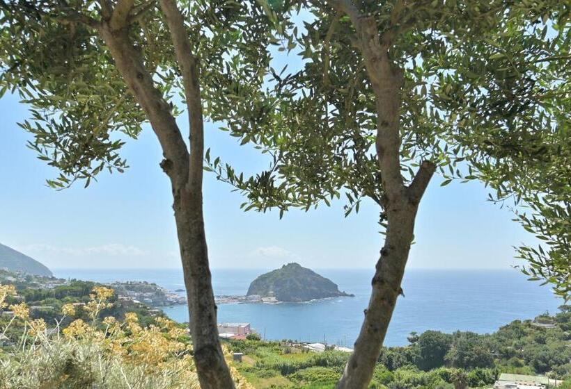 豪华海景房, Tenuta Monte Di Panza