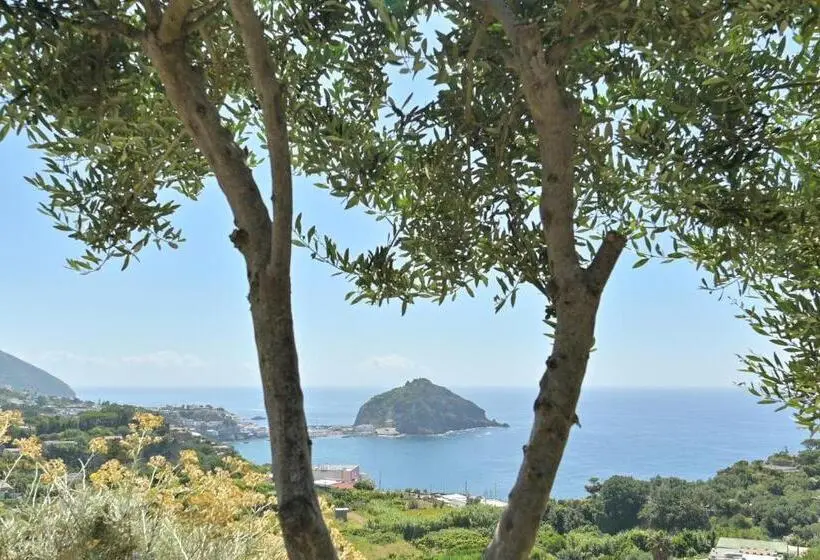 オーシャンビューデラックスルーム, Tenuta Monte Di Panza