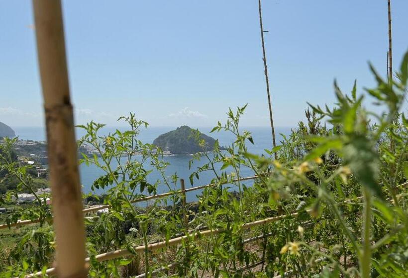 디럭스 룸 바다 전망, Tenuta Monte Di Panza