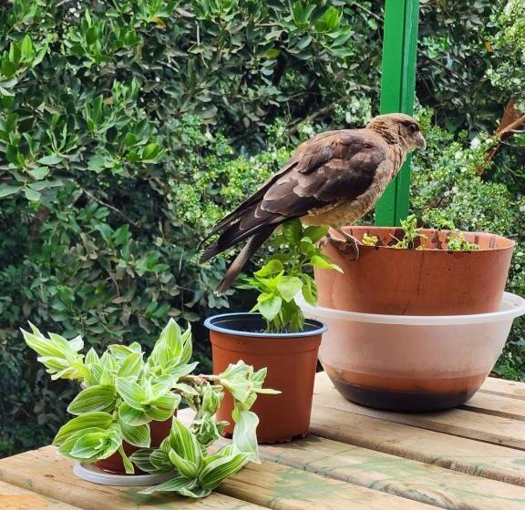 شقة غرفة واحدة مطلة على البحر, Hostal Torre Del Español