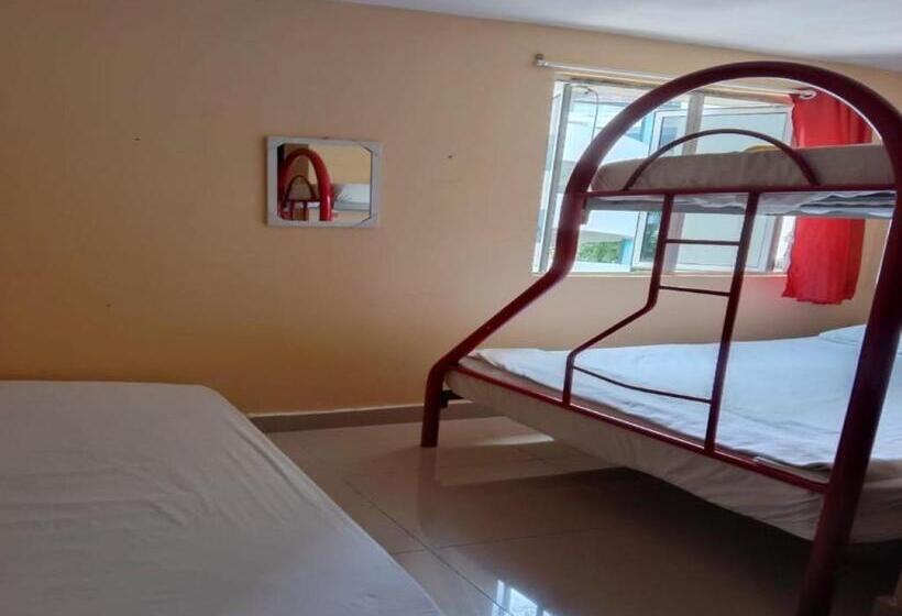 اتاق سوپریور چهار تخته, Ras International