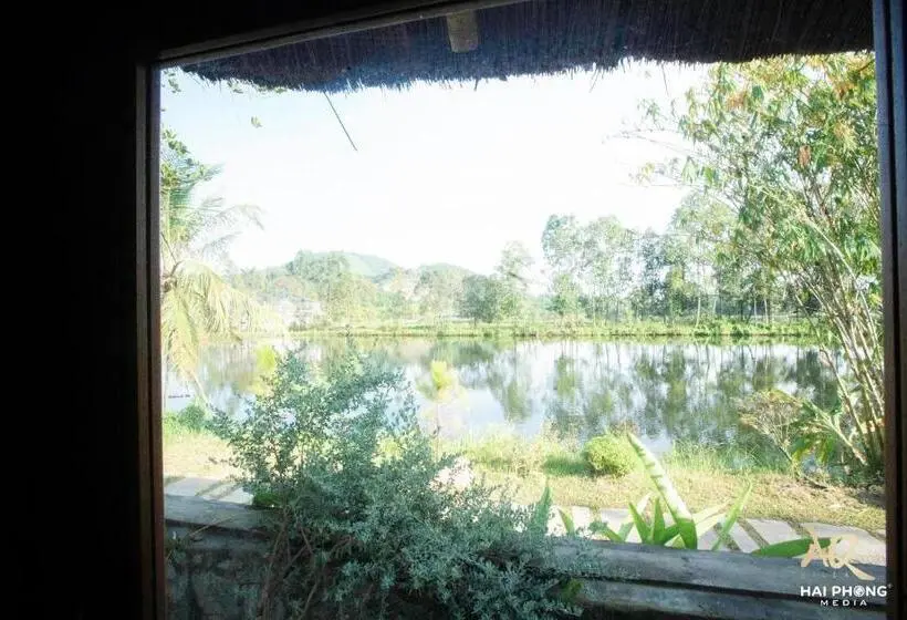 اتاق پرمیوم, Aq Story Villa Vĩnh Phúc