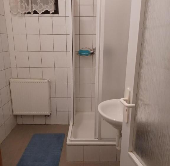 Студия Стандарт, Pavilon V Ráji