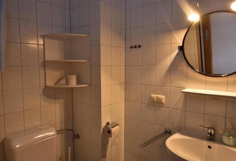 Quarto Estandar Individual, Gasthof Widenschek