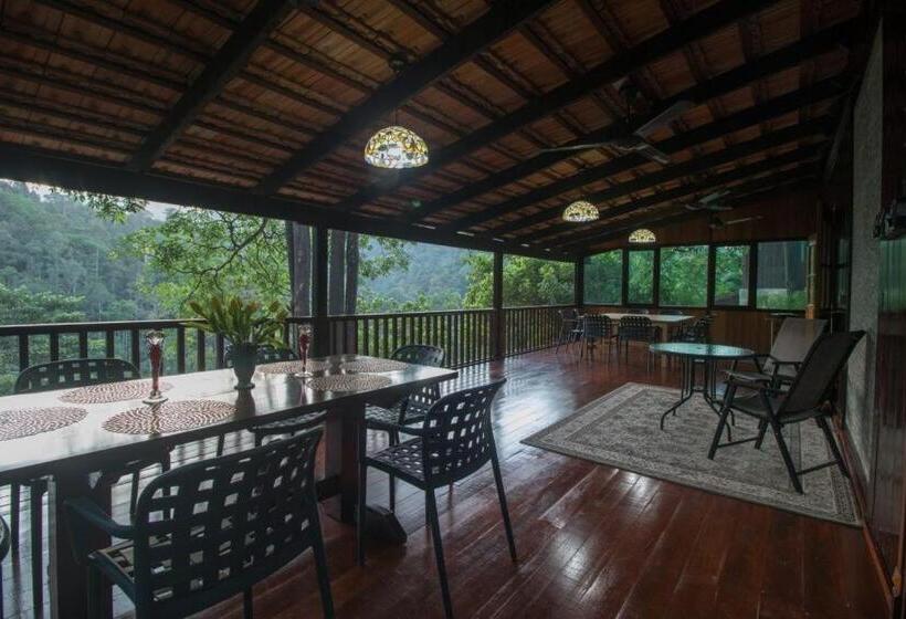 ファミリールーム, Deserenity