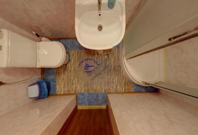 اتاق استاندارد, Complex Mizh Triokh Ozer