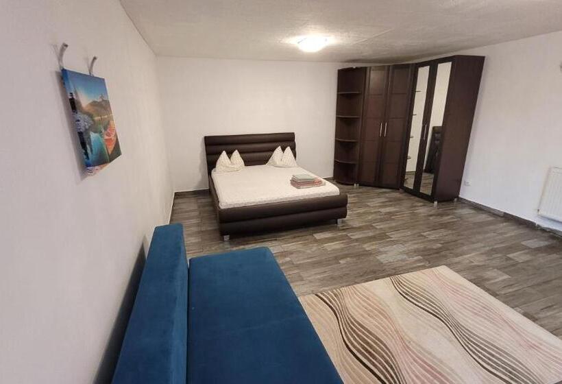 חדר סטנדרט לארבעה, Casa Cristina Corbu