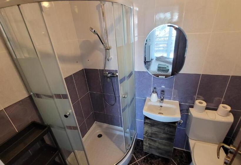 חדר סטנדרט עם טרסה, Casa Cristina Corbu