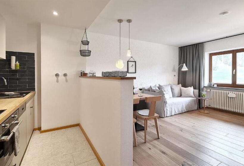 Апартаменты 1 Спальня, Goldvogel Apartments