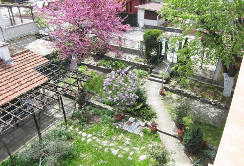 اتاق لوکس, Guesthouse Kolevi