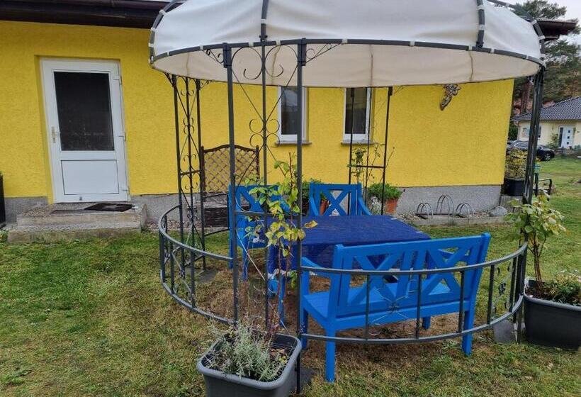 带1个卧室的公寓, Pension Wiesenperle