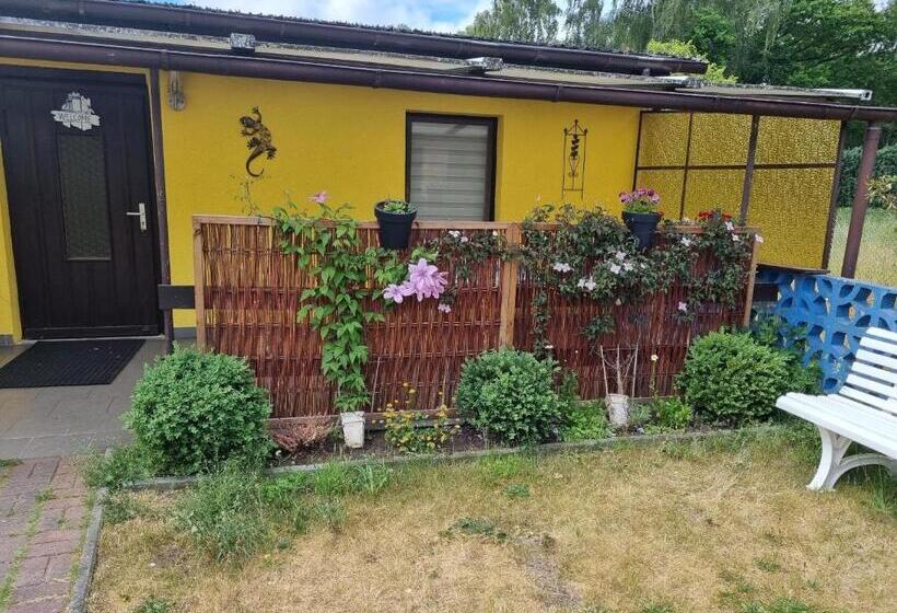 带1个卧室的公寓, Pension Wiesenperle