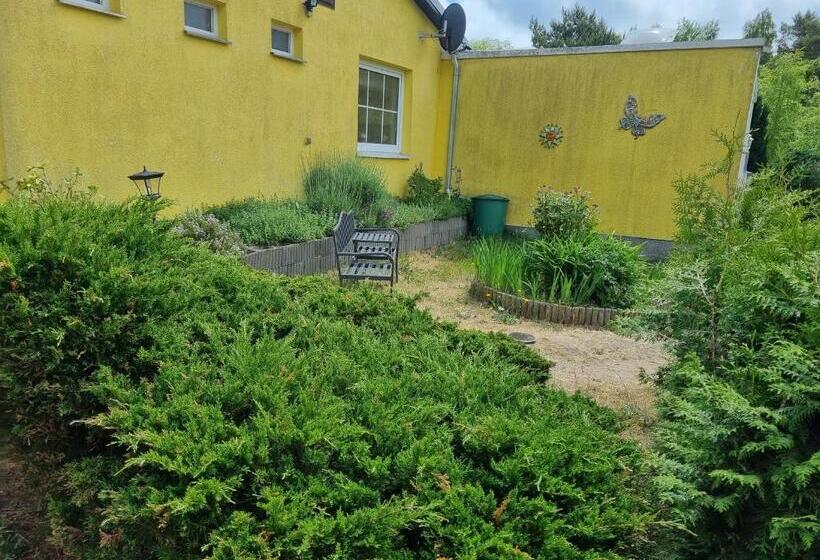 带1个卧室的公寓, Pension Wiesenperle