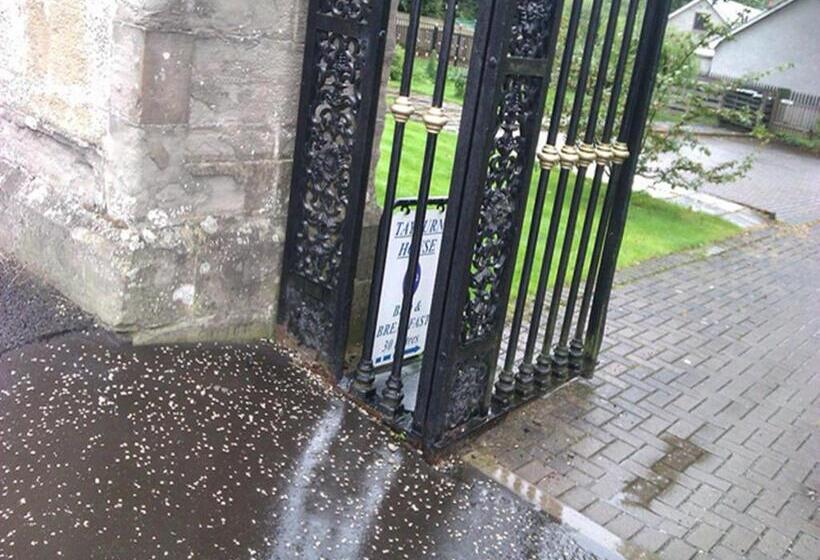 غرفة قياسية, Tayburn House