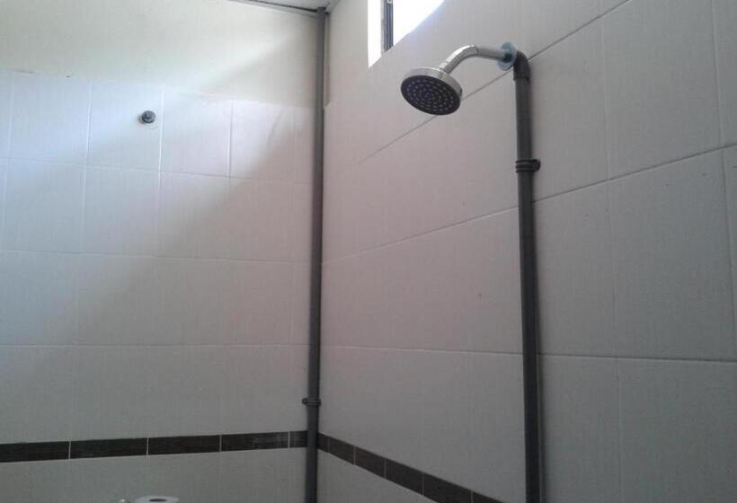 标准三人间, Iz Budget