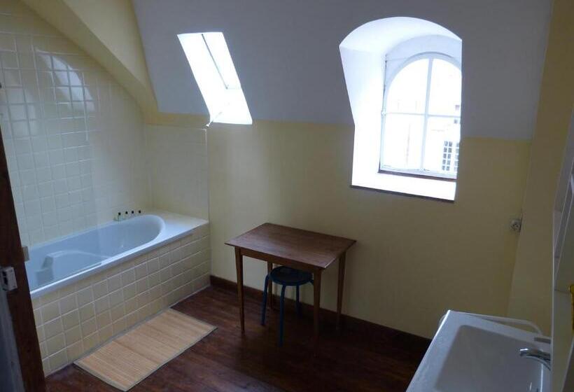 غرفة قياسية مع حمام خارجي, Château De Souesmes