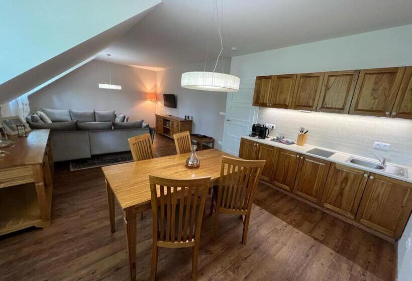 דירת חדר, Mlýn Vodníka Slámy   Penzion